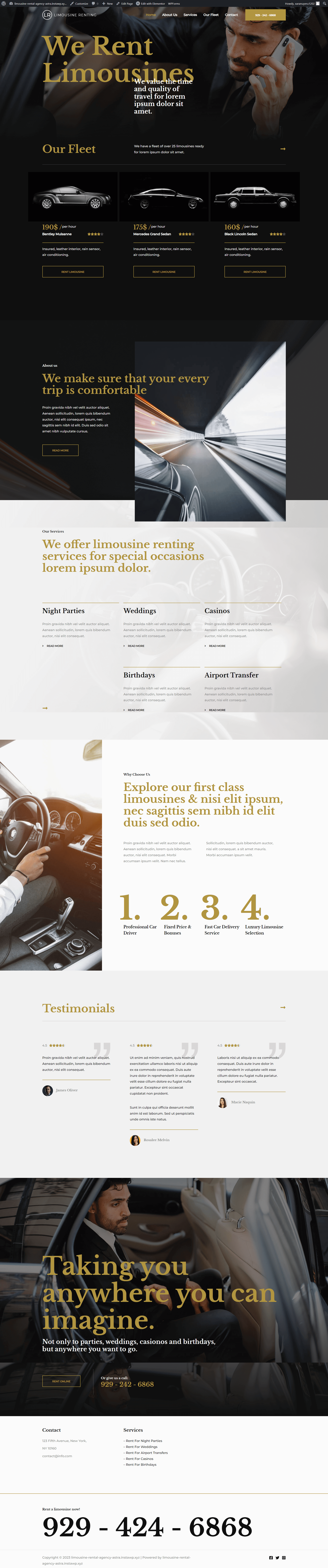 Limousine Rental Agency screenshot
