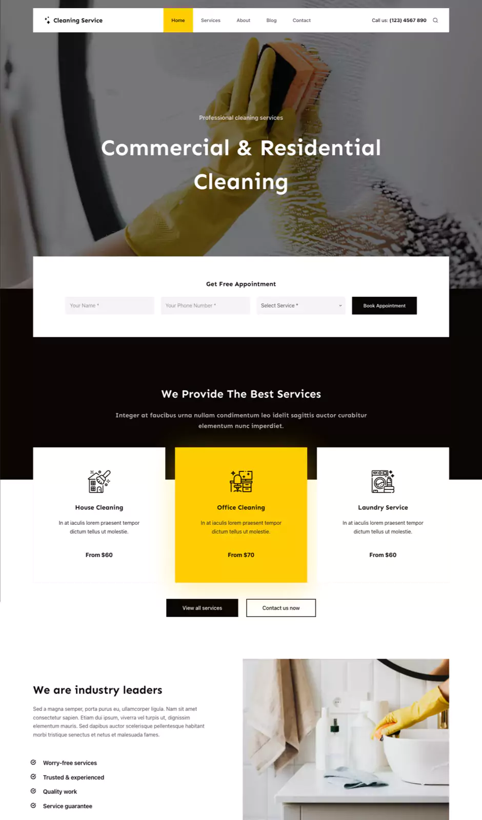 Cleaning Service screenshot