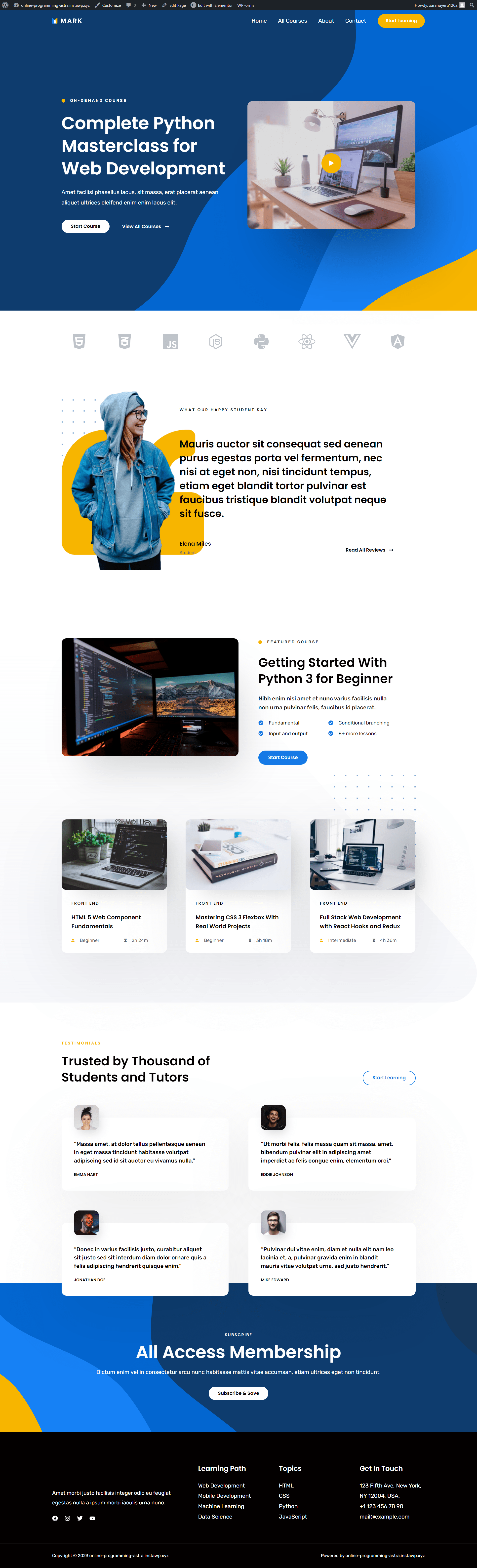Online Programming Course screenshot