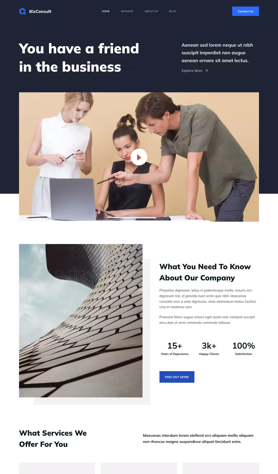 Bizconsult screenshot