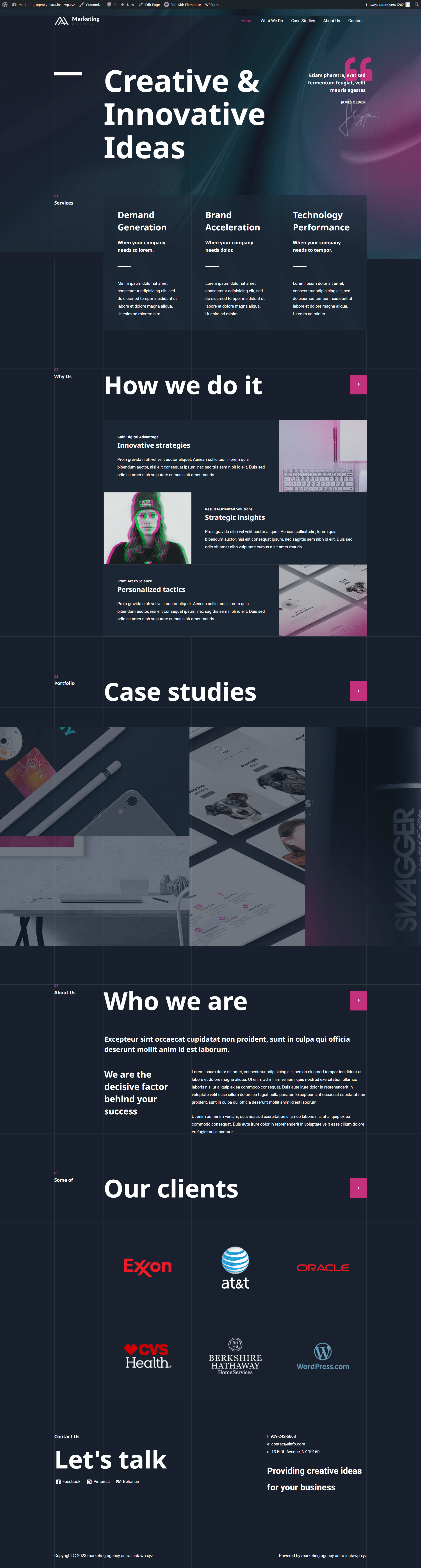 Marketing Agency screenshot