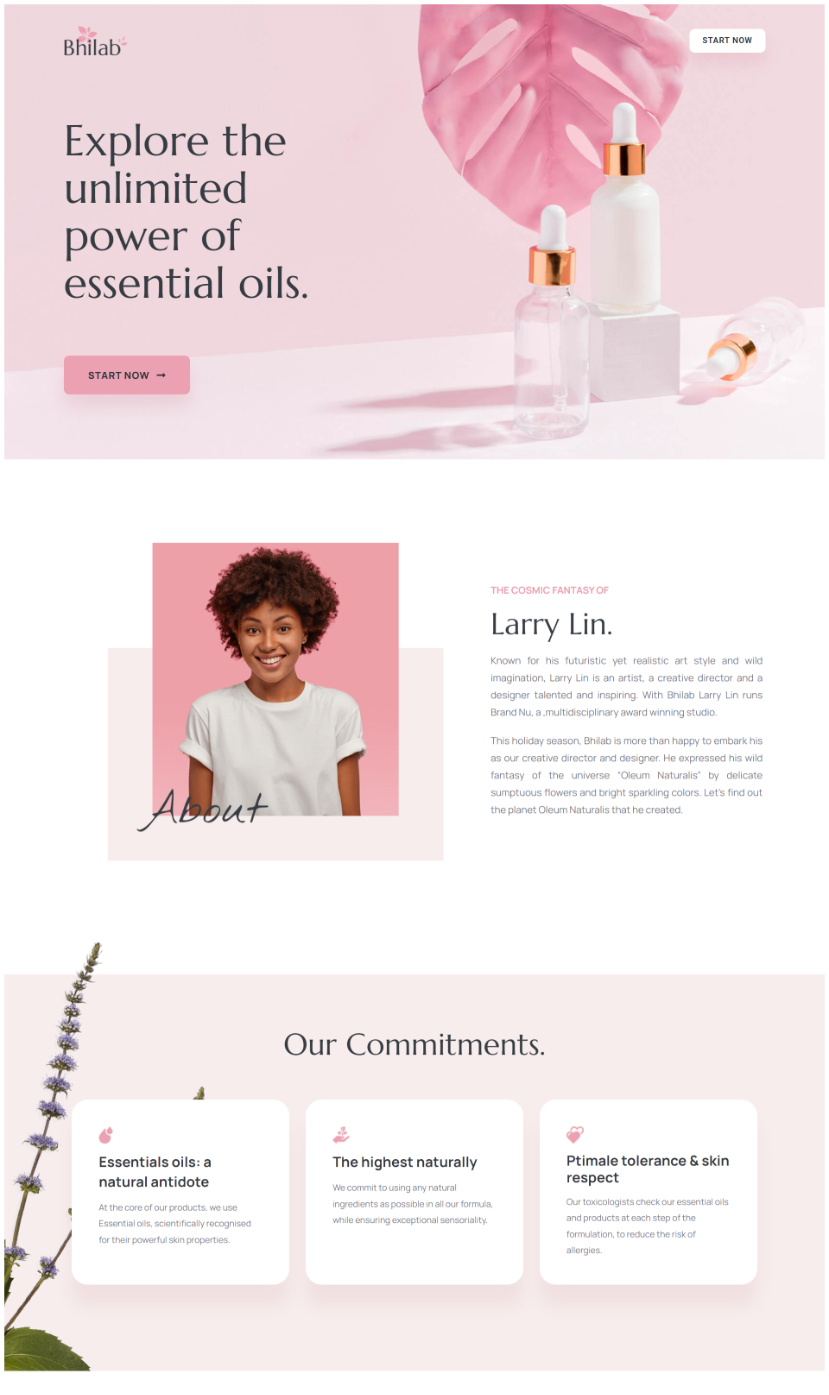 Beauty Products Funnel screenshot